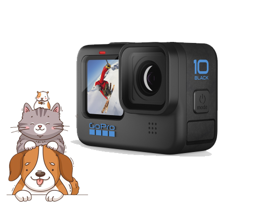 GoPro HERO10 Black Pets Bundle
