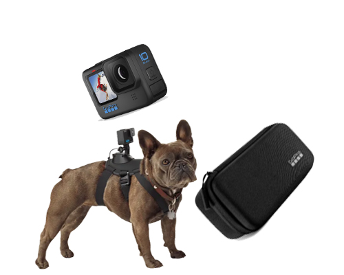 GoPro HERO10 Black Pets Bundle
