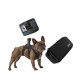 GoPro HERO10 Black Pets Bundle