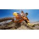 Захисний корпус (HERO7 Black, HERO6 Black, HERO5 Black, HERO 2018)