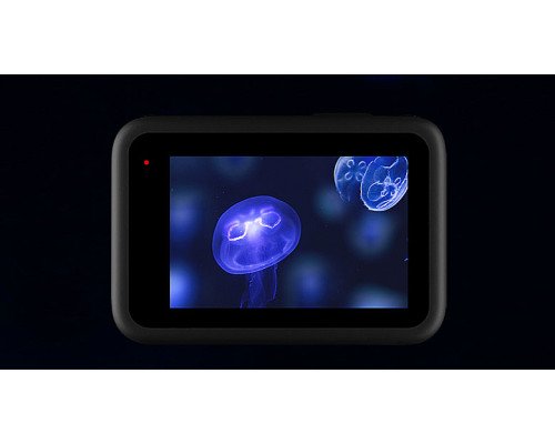 Защитное стекло TELESIN (GoPro HERO12/11/10/9 Black)