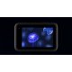 Защитное стекло TELESIN (GoPro HERO12/11/10/9 Black)